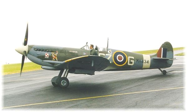 Spitfire2.jpg (27938 Byte)
